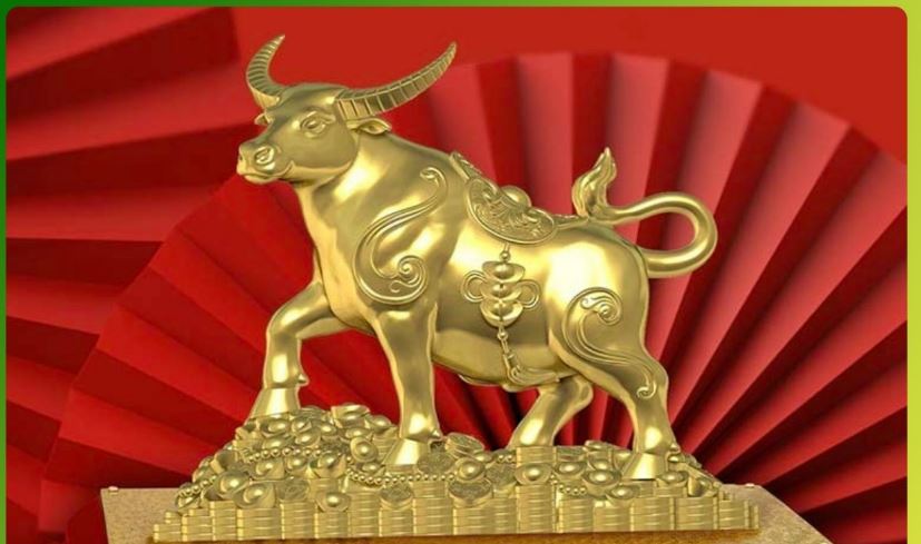 Vật phẩm phong thủy cho nhà ở: Các loại phổ biến và ý nghĩa năm 2025
