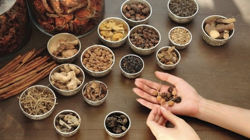 Cơ sở khoa học hiện đại về tác động của dầm đến sức khỏe theo y học cổ truyền